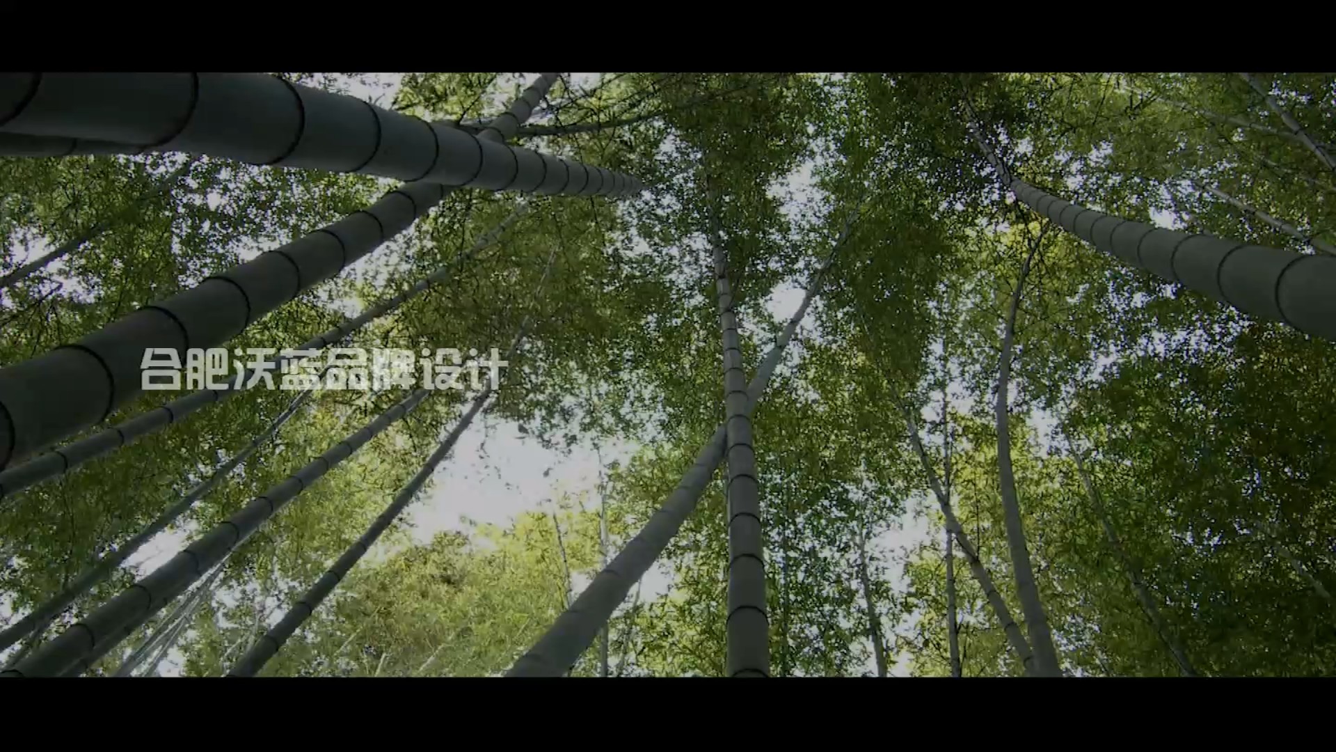 餐饮宣传片