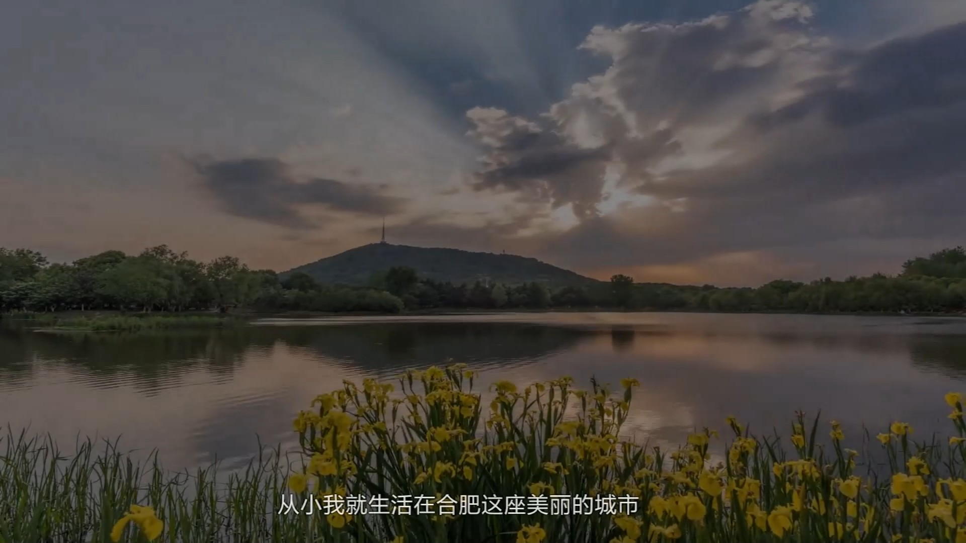 个人专题片